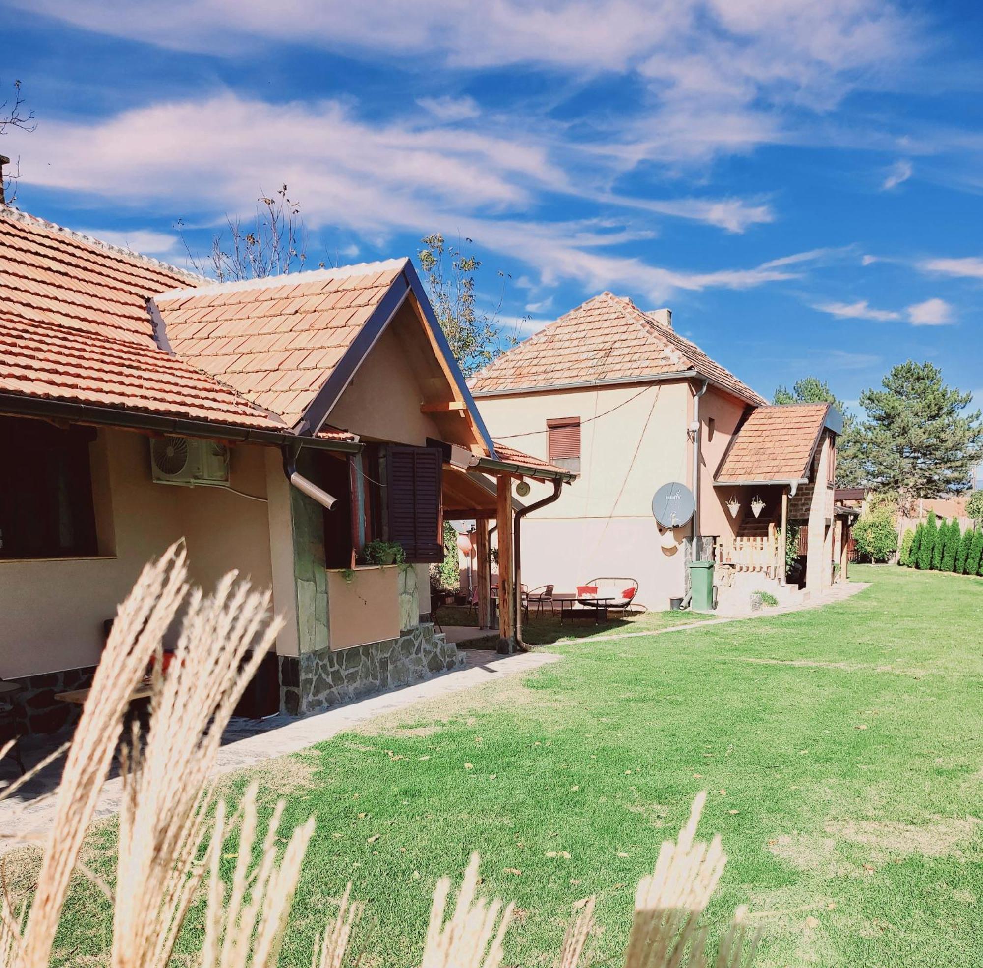 Dvor Donja Toponica Exterior foto